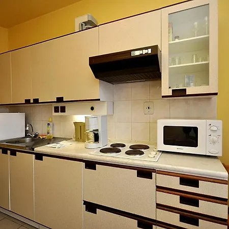 House And Apts. In 2224 Harrachov